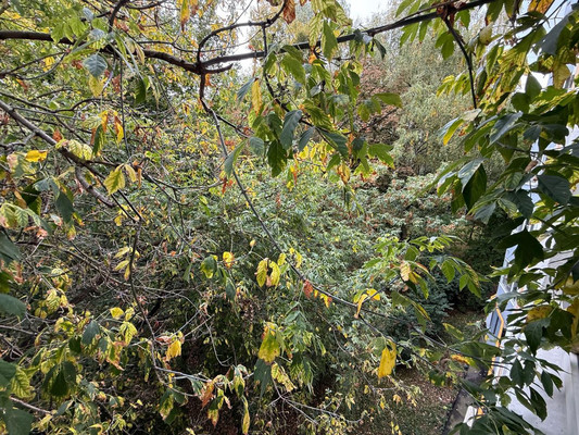 Продам однокомнатную (1-комн.) квартиру, Вернадского пр-кт, 91к2, Москва г