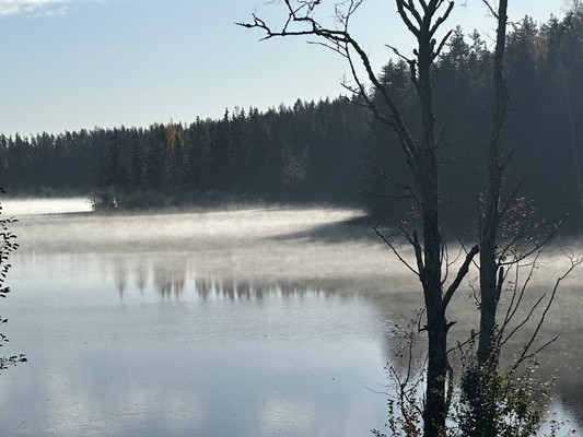 Продам участок 6 соток, Фермерское хоз., Уткино п, 0 км от города