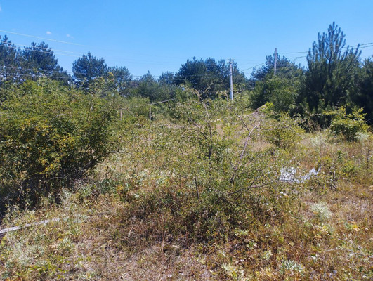 Продам участок 7 соток, Фермерское хоз., Андрусово с, 0 км от города