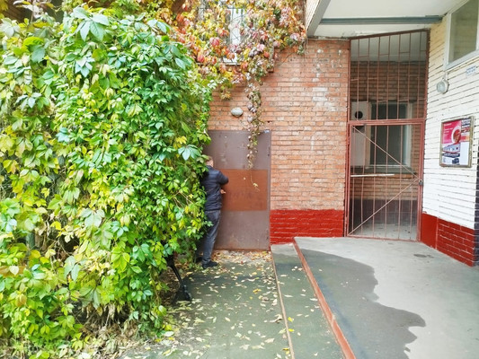 Сдам коммерческое помещение 104 м2, Подольская ул, 46, Северово д