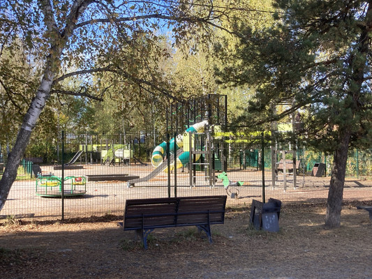 Продам дачу, Дружба п, 0 км от города