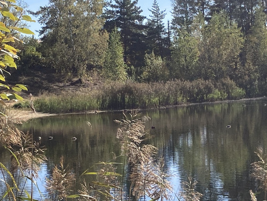 Продам дачу, Дружба п, 0 км от города