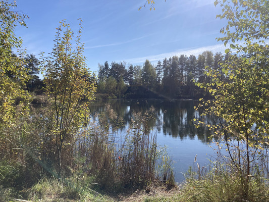 Продам дачу, Дружба п, 0 км от города