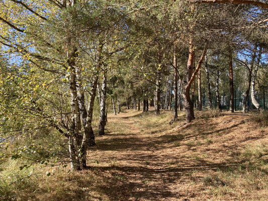 Продам дачу, Дружба п, 0 км от города