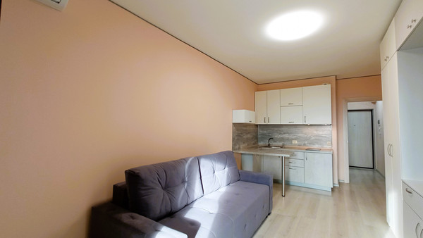 Продам однокомнатную (1-комн.) квартиру, Ветеранов пр-кт, 173к1, Санкт-Петербург г