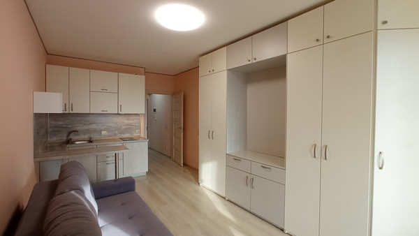 Продам однокомнатную (1-комн.) квартиру, Ветеранов пр-кт, 173к1, Санкт-Петербург г