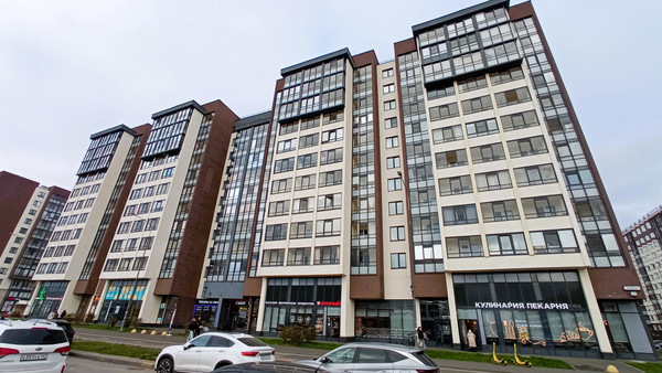 Продам однокомнатную (1-комн.) квартиру, Ветеранов пр-кт, 173к1, Санкт-Петербург г