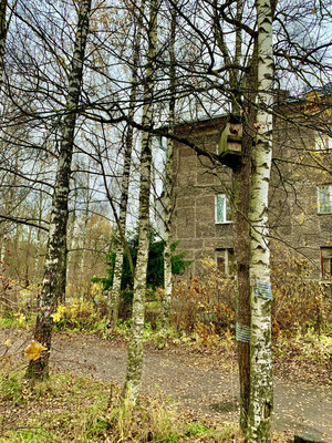 Продам однокомнатную (1-комн.) квартиру, Кооперативная (Торфяное тер.) ул, 8, Парголово п