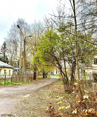 Продам однокомнатную (1-комн.) квартиру, Кооперативная (Торфяное тер.) ул, 8, Парголово п