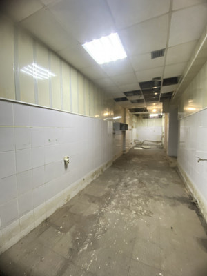 Сдам коммерческое помещение 220 м2, Ленина пр-кт, 10, Нальчик г