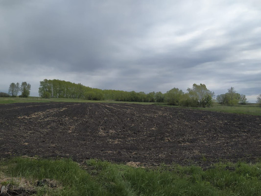 Продам дом, Крупской ул, 39, Старый Эртиль с, 0 км от города