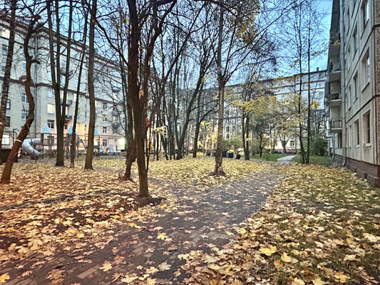 Продам однокомнатную (1-комн.) квартиру, Авиационная ул, 26А, Санкт-Петербург г