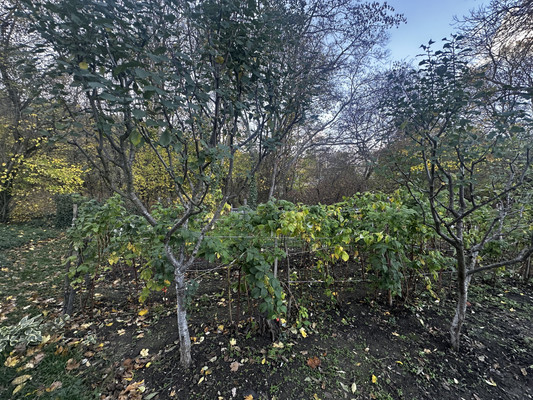 Продам дом, 60 лет СССР ул, Неберджаевская ст-ца, 0 км от города