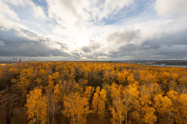 Продам двухкомнатную (2-комн.) квартиру, Липовая ул, 4к1, Николо-Урюпино с