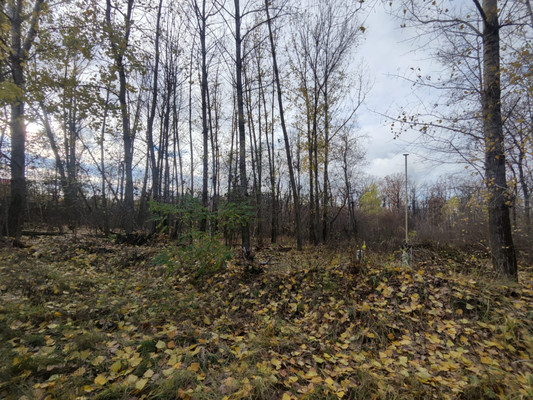 Продам участок 10 соток, ИЖС, 4 (Жилой массив Задонье мкр) кв-л, Воронеж г, 0 км от города