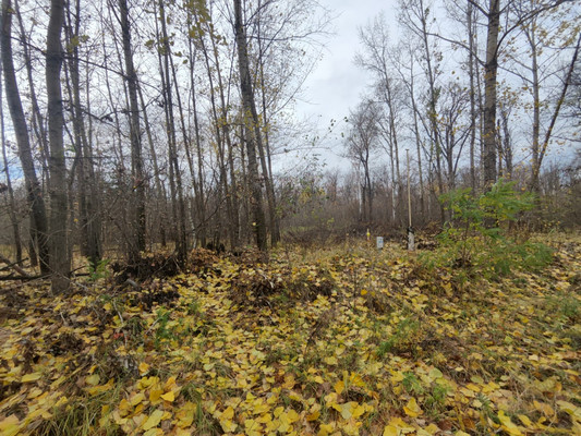 Продам участок 10 соток, ИЖС, 4 (Жилой массив Задонье мкр) кв-л, Воронеж г, 0 км от города