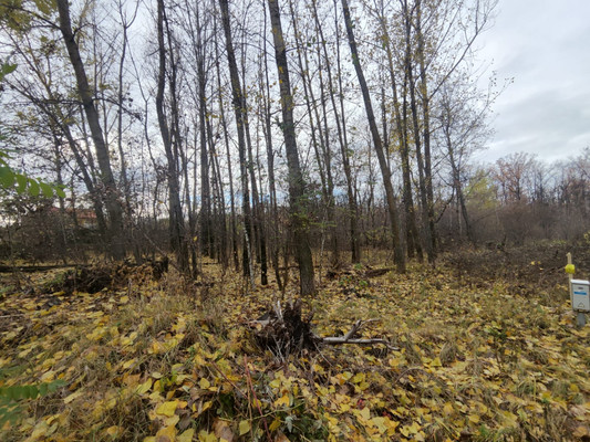 Продам участок 10 соток, ИЖС, 4 (Жилой массив Задонье мкр) кв-л, Воронеж г, 0 км от города