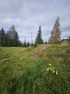 Продам участок 17,6 соток, Садоводство, ДСК Победа ул, Хиттолово д, 0 км от города