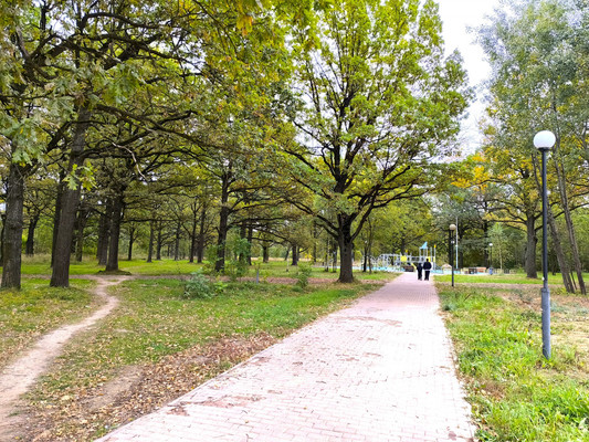 Продам дом, СНТ N7 Дубки (Климовск мкр.) тер, Подольск г, 0 км от города