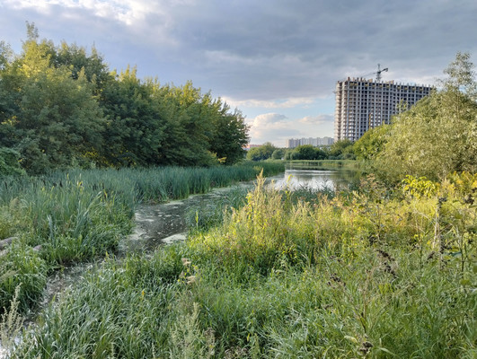 Продам участок 4 соток, Фермерское хоз., Луч ул, Жуковский г, 0 км от города