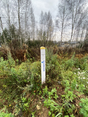 Продам дом, Лесная ул, Таширово д, 0 км от города