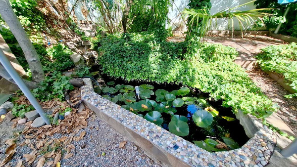 Продам дом, Миндальная ул, 2, Малореченское с, 0 км от города