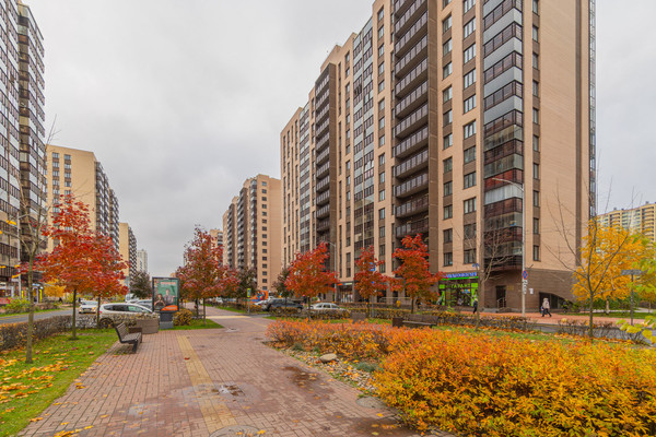 Продам однокомнатную (1-комн.) квартиру, Менделеева б-р, 9к1, Мурино п