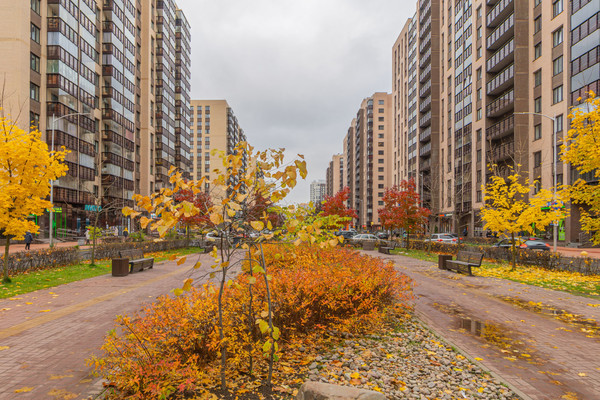 Продам однокомнатную (1-комн.) квартиру, Менделеева б-р, 9к1, Мурино п