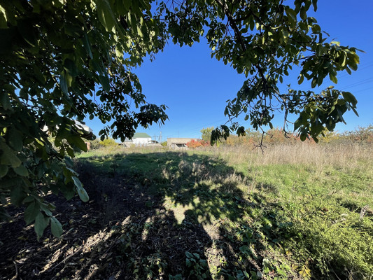 Продам участок 18 соток, ИЖС, Мира ул, Шалушка с, 0 км от города