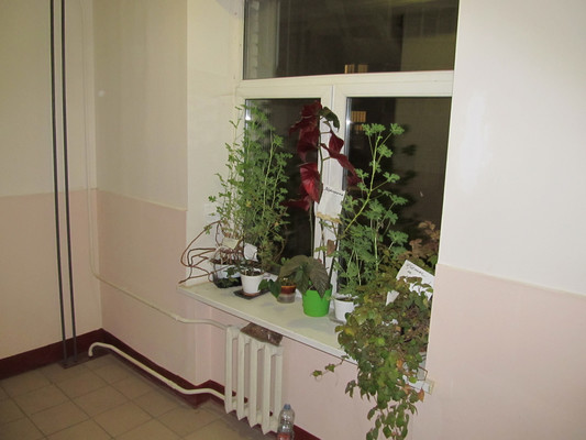 Продам однокомнатную (1-комн.) квартиру, 1905 года ул, 5, Москва г