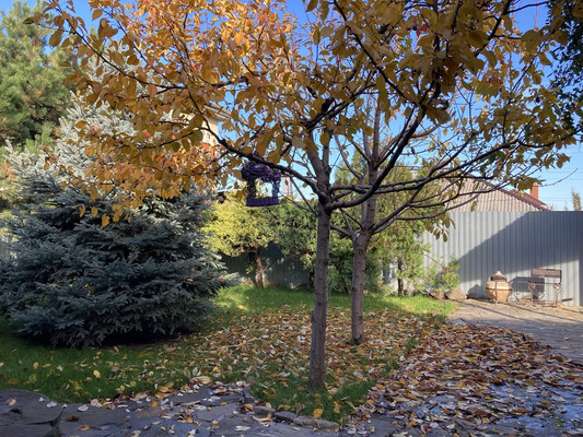 Продам дом, Несветайский пер, 6, Ростов-на-Дону г, 0 км от города