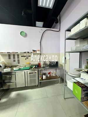 Продам ресторан 225 м2, Пушкинское ш, 41, Малое Карлино д