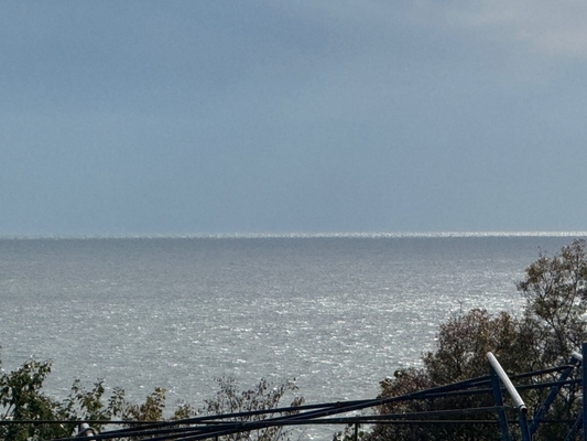 Продам однокомнатную (1-комн.) квартиру, Володарского ул, 6к7, Хлебороб с