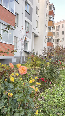 Продам трехкомнатную (3-комн.) квартиру, Парковая ул, 20к2, Санкт-Петербург г