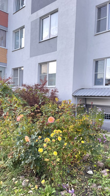 Продам трехкомнатную (3-комн.) квартиру, Парковая ул, 20к2, Санкт-Петербург г