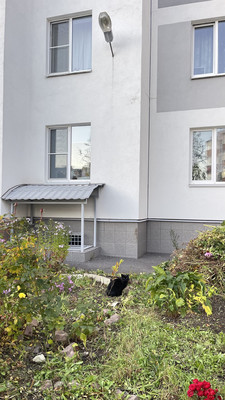 Продам трехкомнатную (3-комн.) квартиру, Парковая ул, 20к2, Санкт-Петербург г