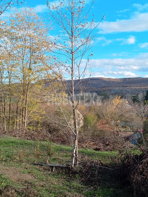 Продам участок 15 соток, ИЖС, Подгорная ул, Азовская ст-ца, 0 км от города