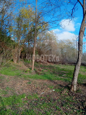 Продам участок 15 соток, ИЖС, Подгорная ул, Азовская ст-ца, 0 км от города