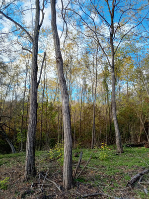 Продам участок 15 соток, ИЖС, Подгорная ул, Азовская ст-ца, 0 км от города