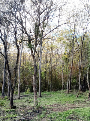 Продам участок 15 соток, ИЖС, Подгорная ул, Азовская ст-ца, 0 км от города