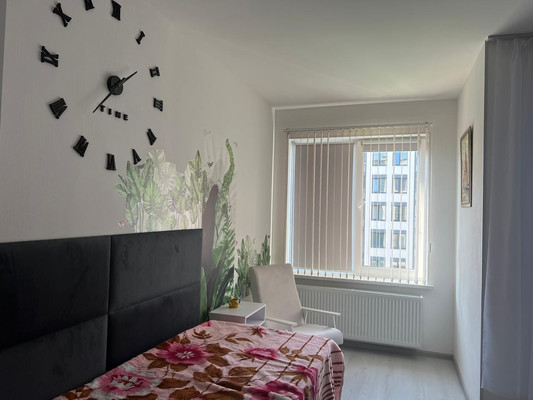 Продам однокомнатную (1-комн.) квартиру, Будённого (Сергиево тер) пр-кт, 19к2, Санкт-Петербург г