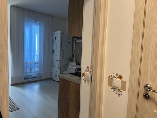 Продам однокомнатную (1-комн.) квартиру, Будённого (Сергиево тер) пр-кт, 19к2, Санкт-Петербург г