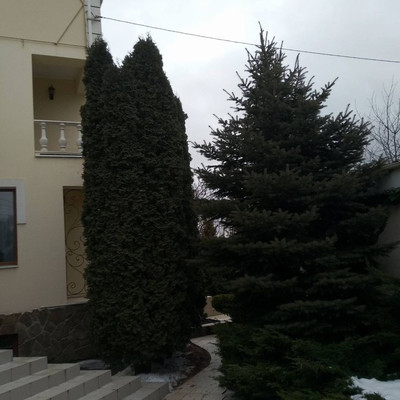 Продам дом, Дорожная ул, 40, Симферополь г, 0 км от города