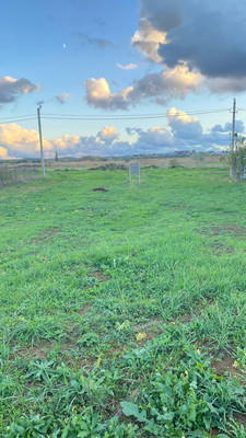 Продам участок 6 соток, ИЖС, Тополиная ул, Цибанобалка с, 0 км от города