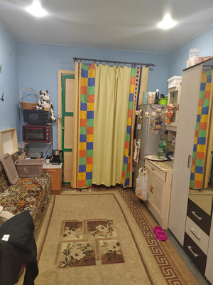 Продам комнату в 9-комн. квартире, Тульская ул, 7А, Санкт-Петербург г