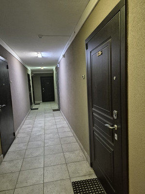 Продам однокомнатную (1-комн.) квартиру, Екатерининский пр-кт, 2, Санкт-Петербург г