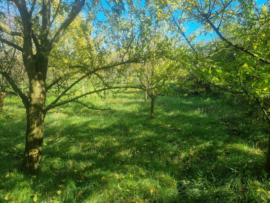 Продам участок 16,5 соток, ИЖС, Ленина ул, Урвань с, 0 км от города