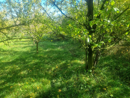 Продам участок 16,5 соток, ИЖС, Ленина ул, Урвань с, 0 км от города