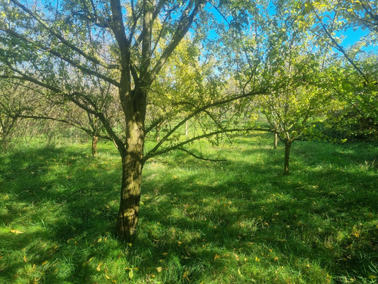 Продам участок 16,5 соток, ИЖС, Ленина ул, Урвань с, 0 км от города