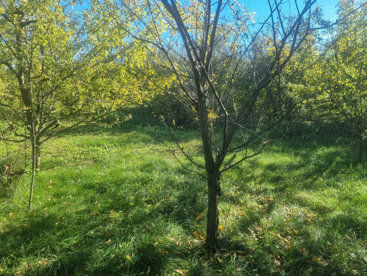 Продам участок 16,5 соток, ИЖС, Ленина ул, Урвань с, 0 км от города